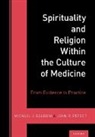 Michael (Instructor Balboni, Michael Balboni, Michael (Instructor Balboni, John R. (Associate Professor of Psychiatry Peteet, Peteet John R. - Spirituality and Religion Within the Culture of Medicine