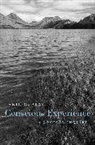 Anil Gupta, Gupta Anil - Conscious Experience