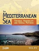 Gianluca Eusebi Borzelli, Gianluca Eusebi Gacic Borzelli, Miroslav Gacic, Lionello, Piero Lionello, Paola Malanotte-Rizzoli - Mediterranean Sea