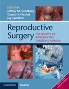 Jeffrey M. Nezhat Goldberg, Jeffrey M Goldberg, Jeffrey M. Goldberg, Goldberg Jeffrey M., Ceana H Nezhat, Ceana H. Nezhat... - Reproductive Surgery