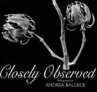Andrea Baldeck - Closely Observed