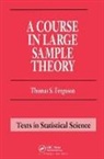 Thomas S. Ferguson, Ferguson Thomas S. - Course in Large Sample Theory