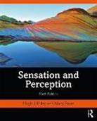 Hugh J. Foley, Hugh J. (Skidmore College) Foley, Hugh J. Bates Foley - Sensation and Perception
