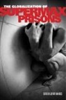 Jeffrey Ian Ross, Jeffrey Ian Ross - Globalization of Supermax Prisons