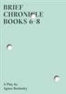 Agnes Borinsky - Brief Chronicle, Books 6-8