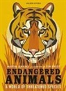 Martin Jenkins, Jenkins Martin, Tom Frost, Frost Tom - Endangered Animals