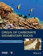 Noel P James, Noel P. James, Noel P. Jones James, Brian Jones - Origin of Carbonate Sedimentary Rocks