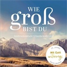 Bettina Alms, Marjolein de Wit, Regina u Ederveen, Various, VARIOUS ARTISTS - Wie groß bist du, Audio-CD (Audio book)