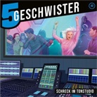 Tobias Schier, Tobias Schuffenhauer - Schreck im Tonstudio - Folge 40, Audio-CD (Hörbuch)