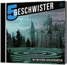 Tobias Schier, Tobias Schuffenhauer - Im finsteren Schlossgarten - Folge 41, Audio-CD (Audio book)