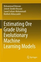 Maliheh Abbaszadeh, Mohammad Ehteram, Zohreh Sheikh Khozani, Soltani-M, Saeed Soltani-Mohammadi - Estimating Ore Grade Using Evolutionary Machine Learning Models