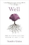 Sandro Galea, Sandro (Dean and Robert A. Knox Professor Galea, Galea Sandro - Well