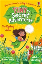 Aisha Bushby, Kubra Teber, Kübra Teber - Tiny the Secret Adventurer: The Mystery Visitor