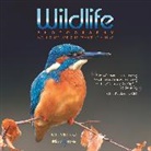 Paul Williams - Wildlife Photography ...