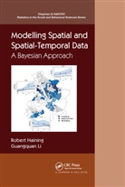 Robert P Haining, Robert P. Haining, Robert P. (University of Cambridge Haining, Guangquan Li - Modelling Spatial and Spatial-Temporal Data