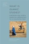 Leif Wood Stenberg, Leif Stenberg, Philip Wood - What Is Islamic Studies?