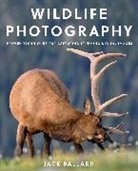 Jack Ballard, Ballard Jack - Wildlife Photography