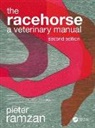 Piet Ramzan, Piet (Rossdales Veterinary Surgeons) Ramzan - Racehorse