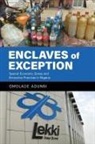 Omolade Adunbi - Enclaves of Exception