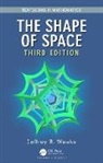 Jeffrey Weeks, Jeffrey R. Weeks, Jeffrey Weeks Weeks - Shape of Space