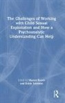 Marion Solomon Bower, Marion Bower, Bower Marion, Robin Solomon, Solomon Robin - Challenges of Working With Child Sexual Exploitation and How a