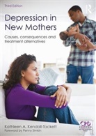 Kathleen Kendall-Tackett, Kathleen (Texas Tech University Kendall-Tackett, Kathleen (University of Hawaii At Kendall-Tackett - Depression in New Mothers