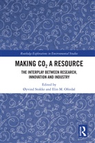 Yvind Oftedal Stokke, Elin M. Oftedal, Øyvind Stokke - Making Co2 a Resource
