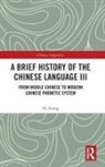 Xi Xiang - Brief History of the Chinese Language III