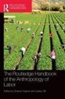 Sharryn (Hofstra University Kasmir, Lesley Gill, Gill Lesley, Sharryn Kasmir, Kasmir Sharryn - Routledge Handbook of the Anthropology of Labor