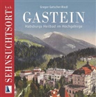 Gregor Gatscher-Riedl - k.u.k. Sehnsuchtsort Gastein