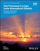 Yangang (Brookhaven National Laboratory Liu, Yangang Kollias Liu, Leo J. Donner, Pavlos Kollias, Yangang Liu - Fast Processes in Large-Scale Atmospheric Models