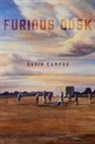 David Campos - Furious Dusk
