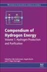 Velu (Bp Products North America Subramani, Angelo Basile, Basile Angelo, Velu Subramani, Subramani Velu, T Nejat Veziroglu... - Compendium of Hydrogen Energy