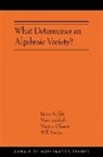 Janos Kollar, Janos Lieblich Kollar, János Kollár, Max Lieblich, Martin Olsson, Will Sawin - What Determines an Algebraic Variety?