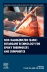 Yuan Hu, Yuan (State Key lab of Fire Science (SKLFS) Hu, Hu Yuan, Xin Wang, Xin (State Key lab of Fire Science (SKLFS) Wang - Non-halogenated Flame-Retardant Technology for Epoxy Thermosets and Composites