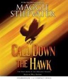 Maggie Stiefvater - Call Down the Hawk (the Dreamer Trilogy, Book 1) (Audio book)