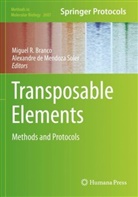 Miguel R Branco, Miguel R. Branco, de Mendoza Soler, Alexandre de Mendoza Soler, Miguel R Branco - Transposable Elements
