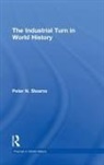 Peter Stearns, Peter (George Mason University Stearns, Stearns Peter - Industrial Turn in World History