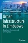 Innocent Chirisa, Abraham R. Matamanda, R Matamanda - Urban Infrastructure in Zimbabwe