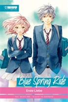 Akiko Abe, Io Sakisaka, Benjamin Leimser - Blue Spring Ride Light Novel 01