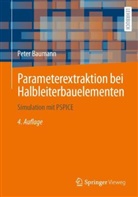 Peter Baumann - Parameterextraktion bei Halbleiterbauelementen
