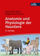Gotthold Gäbel, Gotthold (Prof. Dr.) Gäbel, Klaus Loeffler, Pfannk, He Pfannkuche, Helga Pfannkuche - Anatomie und Physiologie der Haustiere