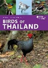 Ayuwat Jearwattanakanok - Birds of Thailand