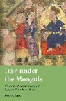 Denise Aigle, Aigle Denise - Iran under the Mongols