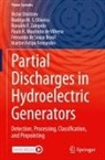 Fernando de Souza Brasil, Victor Dmitriev, Martim Felipe Fernandes, Paulo R. Moutinho de Vilhena, Rodrigo M S Oliveira, Rodrigo M. S. Oliveira... - Partial Discharges in Hydroelectric Generators
