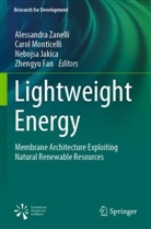 Zhengyu Fan, Nebojsa Jakica, Nebojsa Jakica et al, Carol Monticelli, Alessandra Zanelli - Lightweight Energy