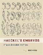 Nick Hopwood, Hopwood Nick - Haeckel's Embryos