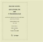 Edmund Husserl, Rochus Sowa, Vongehr, Thomas Vongehr - Grenzprobleme der Phänomenologie