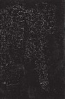 Aleksandra Shatskikh, Shatskikh Aleksandra - Black Square