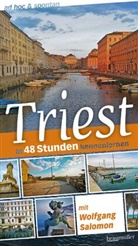 Wolfgang Salomon - Triest ad hoc & spontan
